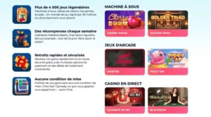 Spin Dynasty casino : est-il fiable pour les joueurs français ?