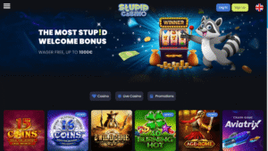 Stupid Casino avis : bonus, retraits, licence et risques à connaître avant de vous inscrire